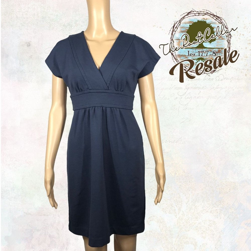Banana Republic Size 2 Dress